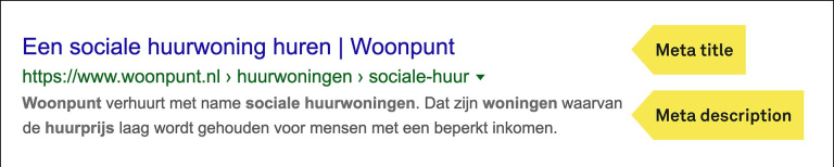 Google snippet van Woonpunt met Meta title en Meta description.